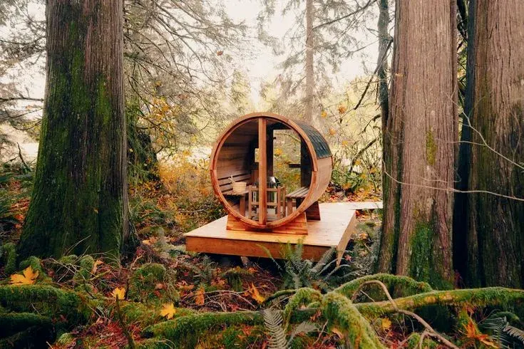 Meşədə taxta platforma üzərində dairəvi şüşə ön divarlı barrel sauna